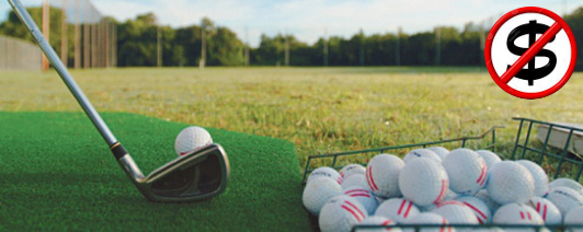 Avoid spending time and money driving to the range and expensive balls buckets